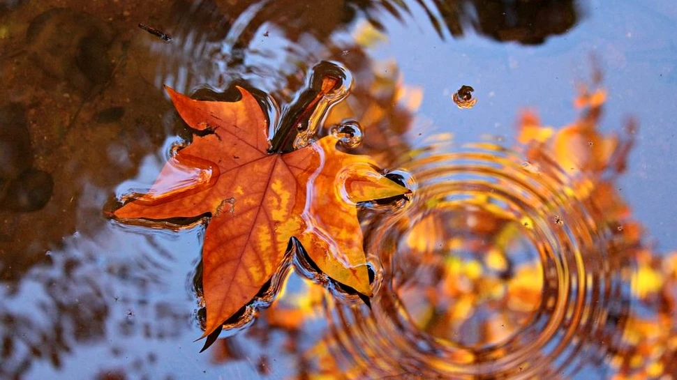 Vortexul polar va fi înlocuit de un aer tropical în România. Temperaturile vor fi neobişnuit de mari