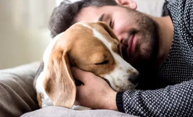 Câinii anxioși au o activitate cerebrală similară oamenilor anxioși