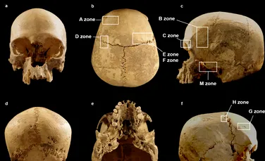 Cum a ajuns craniul unei femei din Epoca de Piatră în adâncurile unei peșteri din nordul Italiei