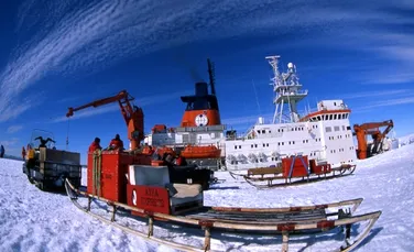 Antarctica va regla balanta ecosistemului
