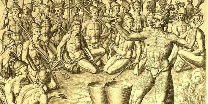 Yaupon, planta uitată a Americii care ar putea înlocui ceaiul și cafeaua