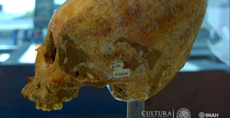 Un schelet mayaş, vechi de 7.000 de ani, a fost descoperit într-o peşteră din Mexic. A aparţinut unei perioade de tranziţie a omului