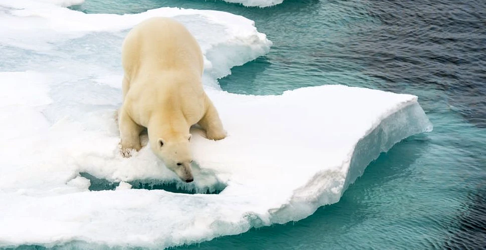 Experţii au dat ALARMA: temperatura de la Polul Nord este cu 20 de grade Celsius mai crescută decât în mod normal