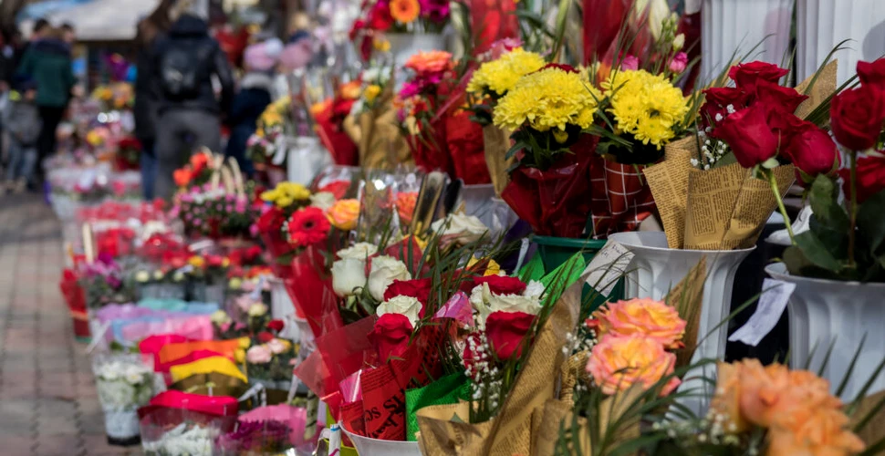 Florile rămân cadoul preferat al românilor de Ziua Internațională a Femeii