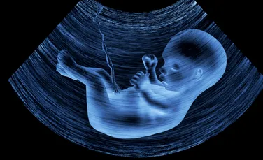 Copiii îşi conştientizează forma corpului chiar din uter