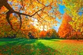 Toamna vine cu temperaturi mai mari decât ar fi normal! Ce anunță meteorologii?