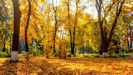 Vreme se încălzește din nou! Anunțul meteorologilor