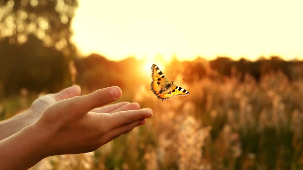 De ce căutarea obsesivă a fericirii ne face, paradoxal, mai nefericiți