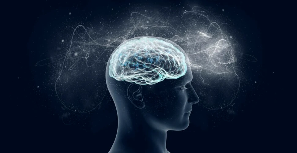 Ar putea fi creierul uman „cuantic”?