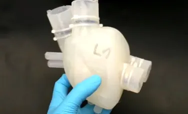 A fost creată prima inimă artificială din silicon care imită bătăile organului real