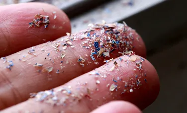 Ce probleme de sănătate pot cauza microplasticele pe care le respirăm și le consumăm zilnic?
