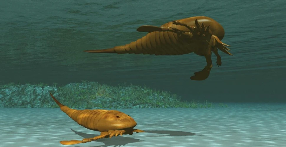 Un nou studiu susține că însăși evoluția poate evolua