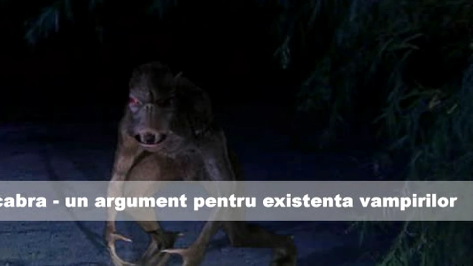 Chupacabra – un argument pentru existenta vampirilor