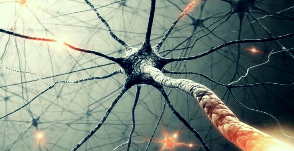 Oamenii de ştiinţă de la Oxford au inventat un material cu implicaţii uriaşe asupra pacienţilor cu boli ale sistemului nervos central
