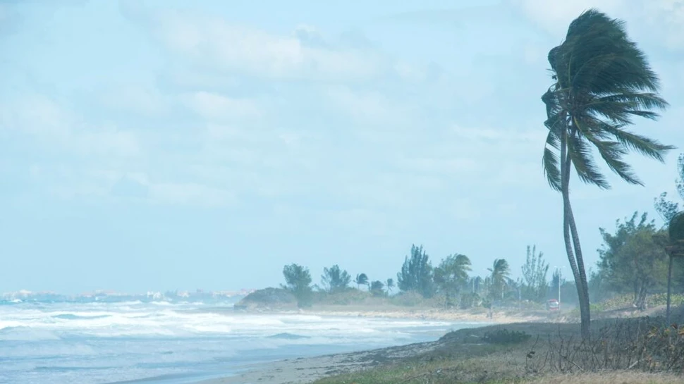 Cum apar uraganele și care sunt primele semne ale unui ciclon tropical?