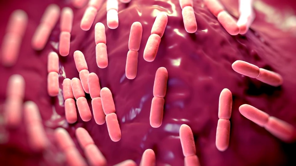 Soluţie inedită pentru învingerea super-bacteriilor, pe care niciun antibiotic nu le poate distruge