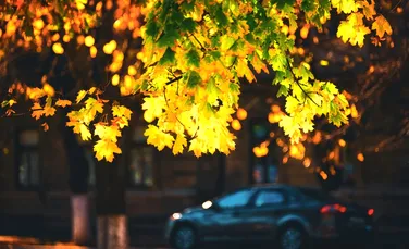 Prognoza meteo pentru toamnă. Ce temperaturi anunță ANM?