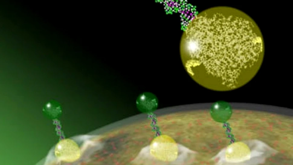 Robotii-molecule intra in actiune!