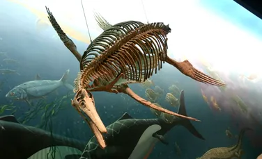 A fost descoperită cea mai mare fosilă a unui ”dragon de mare” care a trăit în urmă cu 200 milioane de ani