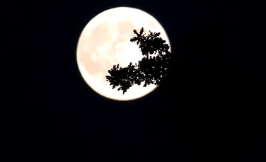 Fenomen astronomic rar în noaptea de duminică spre luni: Super Lună şi eclipsă de Lună. Cum le puteţi observa