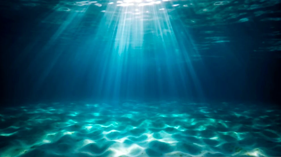 Oceanele lumii se întunecă, dezvăluie un studiu îngrijorător
