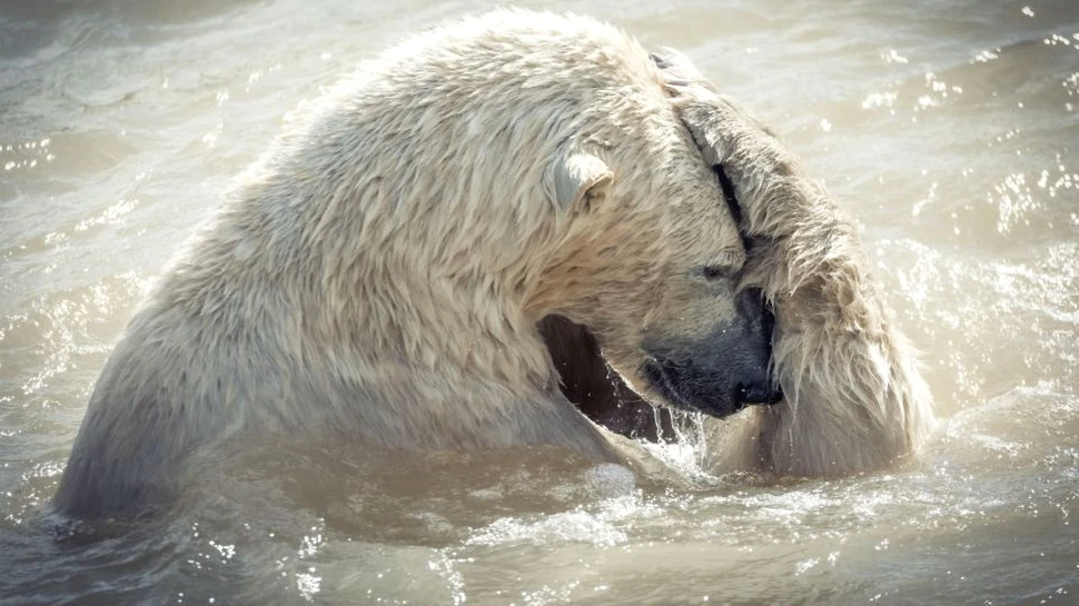 Iulie 2019 a fost cea mai călduroasă lună din istorie