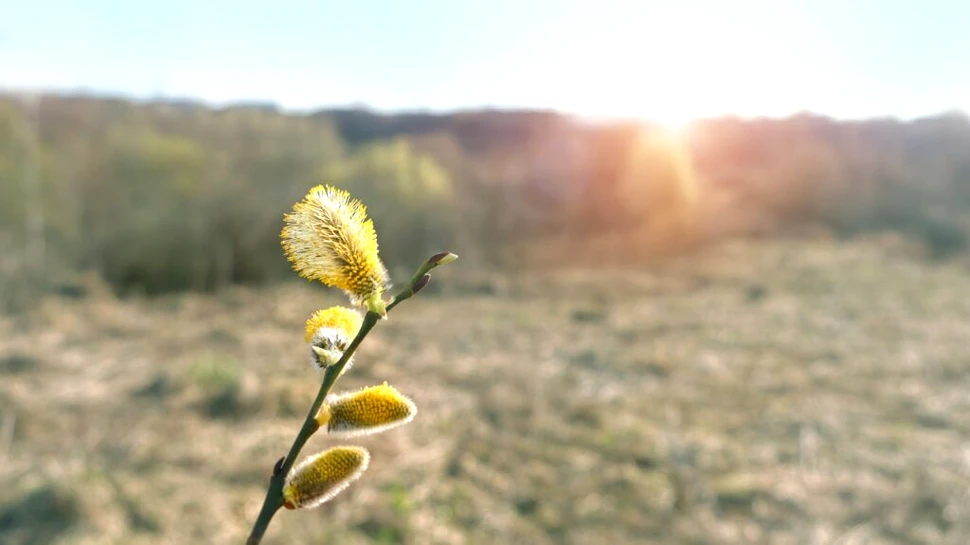 Prognoza meteo actualizată: Vremea se schimbă radical de Paște!
