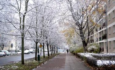 Vremea se încălzește în toată țara! Temperaturile anunțate de ANM