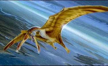 Pterodactilii erau prea grei pentru a zbura