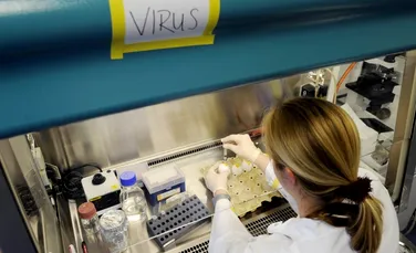 Decizie finală: „reţeta” super-virusului gripal va fi publicată necenzurată