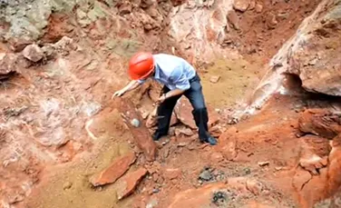 Zeci de ouă de dinozaur au fost descoperite din întâmplare în centrul unui oraş din China – VIDEO