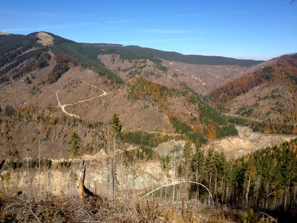 Charlie Ottley a descoperit exploatările forestiere ilegale din România