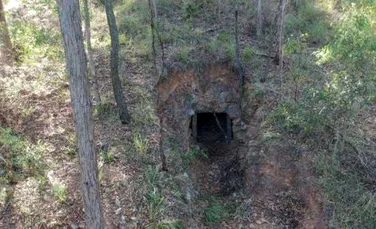 Un bărbat din Australia a avut surpriza vieţii lui când a găsit o mină de aur în curtea casei sale