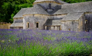Cinci lucruri de vizitat în însorita Provence din Franţa