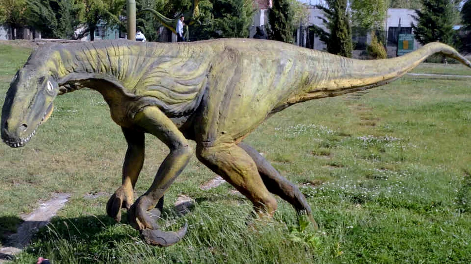 Megaraptor unul dintre cei mai aprigi vânători din Cretacic. Marele mister din jurul lui