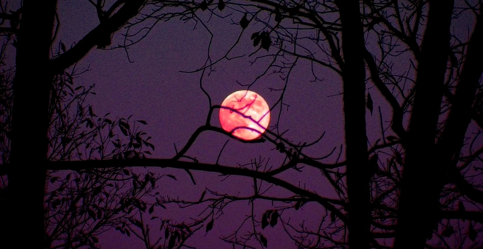 Fenomen astronomic de excepţie: ,,Luna Roz,” vestitoare a sărbătorilor pascale