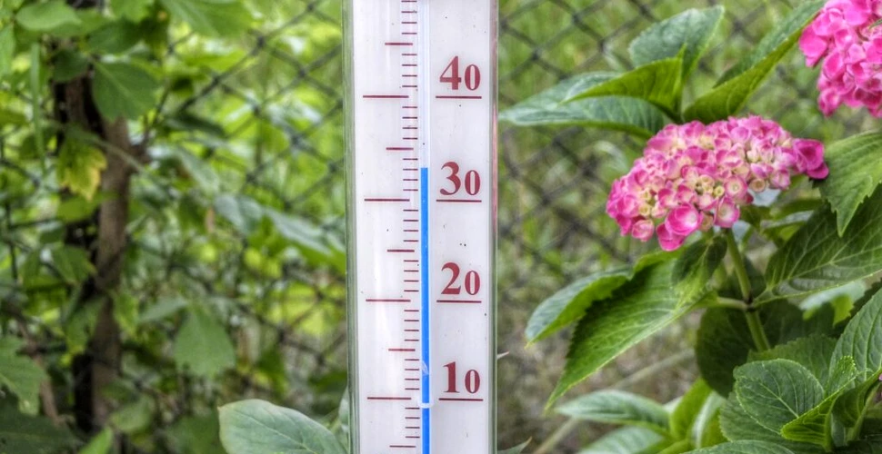 Caniculă și disconfort termic în România. Ce temperaturi au anunțat meteorologii?