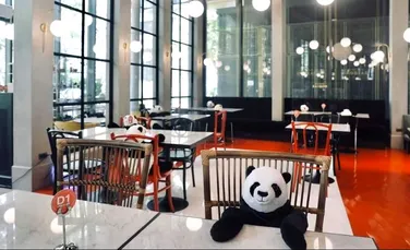 Urşii panda ajută la respectarea măsurilor de distanţare socială în Thailanda