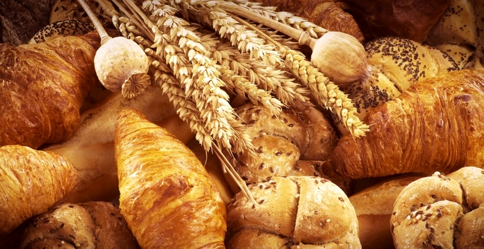 Pâinea, otrava noastră cea de toate zilele: cerealele au un efect devastator asupra creierului, susţine un neurolog