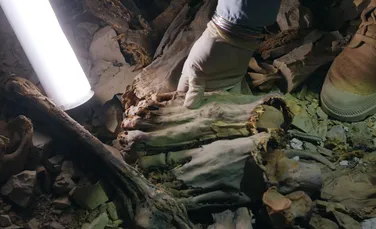 Un mormânt comun cu 60 de mumii scoate la iveală un capitol sângeros din istoria Egiptului