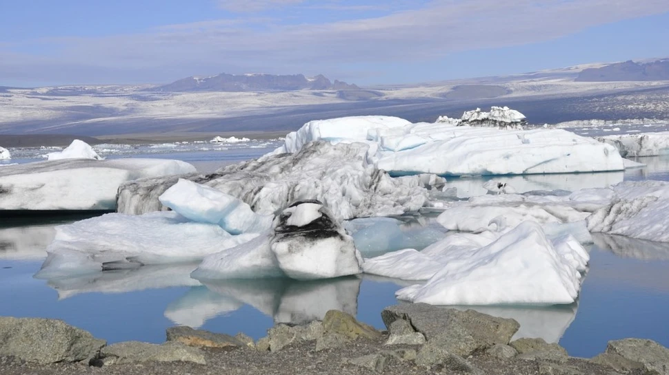 Descoperire neaşteptată în Siberia! A hibernat timp de peste 40.000 de ani în permafrost, iar acum a revenit la viaţă