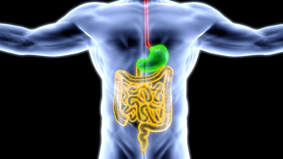 Care sunt cauzele ocluziei intestinale