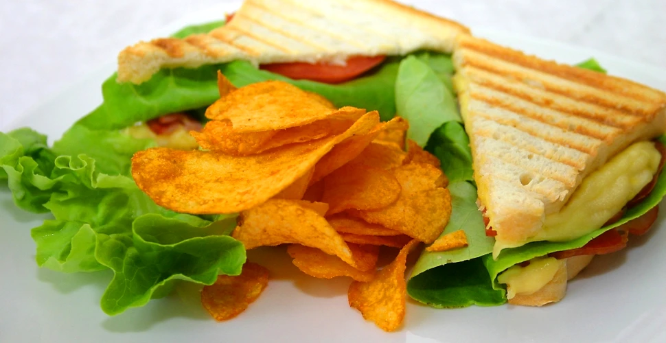Dintr-un studiu reiese că sandviciurile distrug mediul