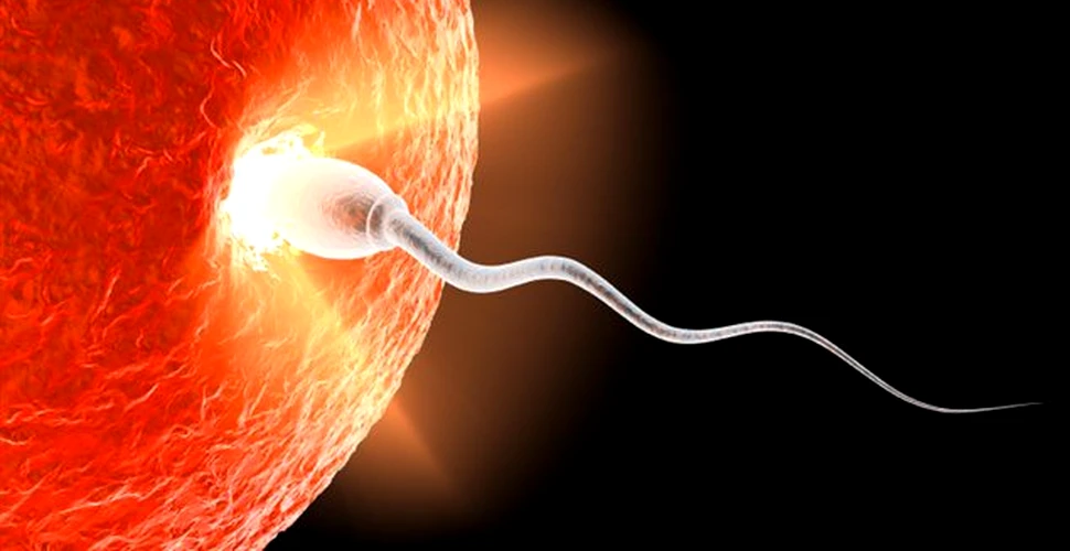 7 lucruri inedite despre spermă – FOTO