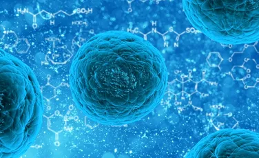 Crearea celulelor stem va fi mai uşoară datorită unei noi proteine descoperite care contribuie la acest proces