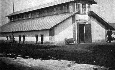 Secretul organizării Domeniilor Coroanei: un model inspirat din Ungaria?