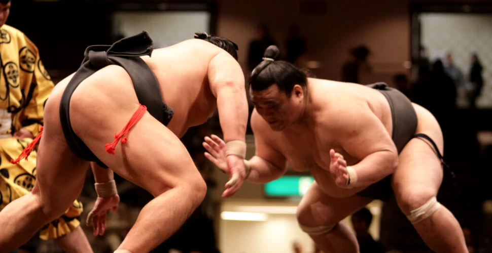 Mai mulți luptători de sumo, refuzați la îmbarcarea într-un avion din cauza greutății