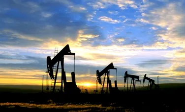 Criza petrolului, sub lupa tarilor industrializate