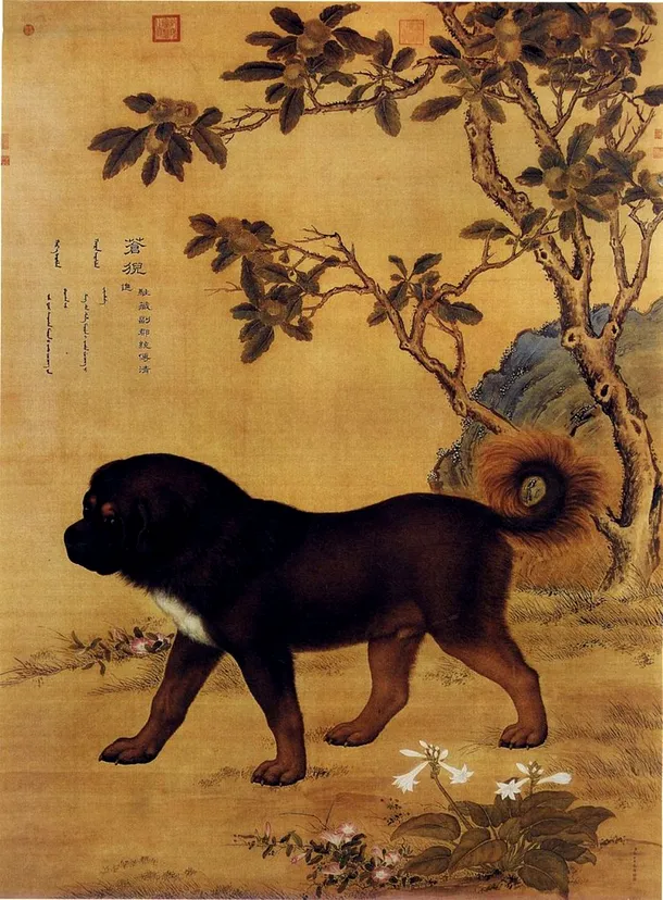 Stampă veche chineză care prezintă un dog tibetan