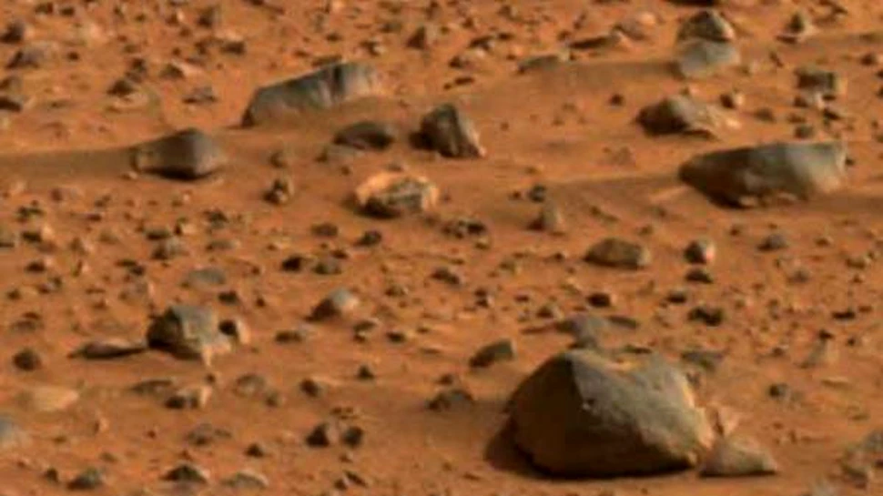Existenta vietii pe Marte poate fi confirmata